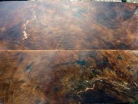 P1030371 [1600x1200] [1024x768].jpg