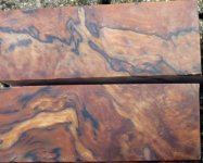 Gestockte Buche [1600x1200] [1024x768].jpg