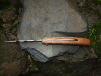DSCF1651.geaendert.jpg
