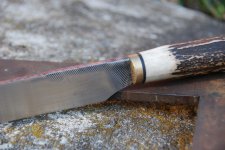 Sambar_Feile 006 - Kopie.JPG