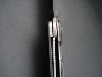 DSC07567.JPG