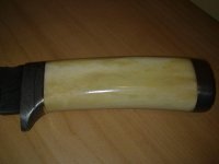 26112010535.jpg