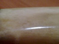 26112010536.jpg