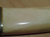 26112010537.jpg