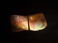 DSC01108.jpg