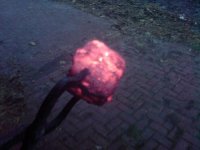 DSC00116.jpg