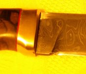 SG106572 Kopie Kopie.jpg