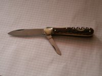 P1010002-1.JPG