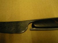 KIF_1162.JPG