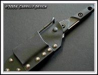 Scarab_Sheath_1.jpg