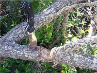 Roger Linger Wilderness Survival Knife_02.jpg