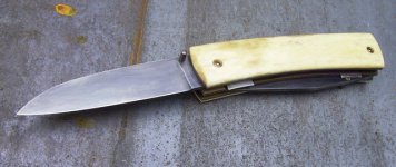 RIMG1678.jpg