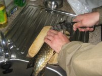 IMG_0016, klein.JPG