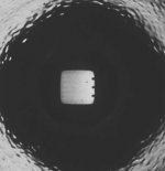 xm-l.JPG