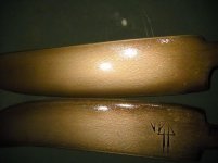 xneu1 (5).jpg