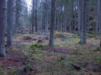 Outdoortreffen3.jpg