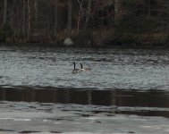Outdoortreffen1.jpg