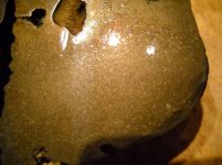 DSCN0909.jpg