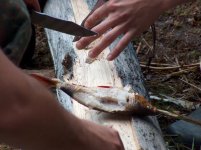 Outdoortreffen 024.jpg