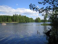IMG_5960.JPG