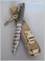 BT-SS.jpg