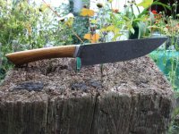 DSCF2461.geaendert.JPG