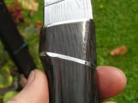 K800_Hano (4).JPG