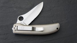 Spyderco 018.jpg