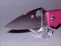 calypso_4.jpg