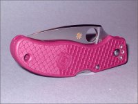 calypso_5.jpg