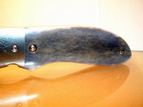 GrößenänderungWieder-Belichtung von CIMG0603.JPG