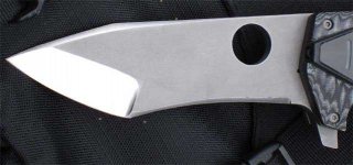 p7.jpg