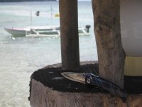 IMG_2241.jpg