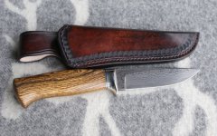 21899513-3.jpg