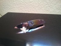 20120204_130331.jpg