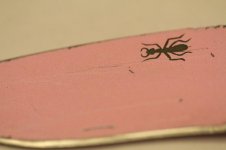 cIMG_8170.jpg