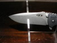 zt2.JPG