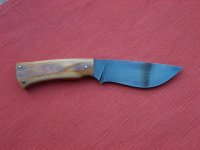 Kleiner Freund 02.jpg