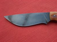 Kleiner Freund 04.jpg