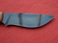 Kleiner Freund 05.jpg