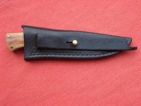 Kleiner Freund 07.jpg