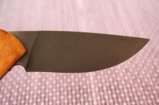 IMG_0420.jpg