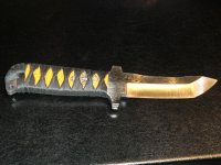 CIMG1677.jpg