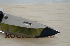 DSC_0206.jpg