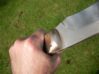 Bild 011 (Medium).jpg