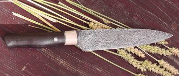 S1270014.JPG S1270014.JPG