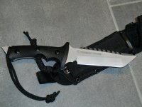 CIMG1610.jpg