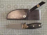 Rat3_.jpg