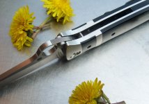 Spy Valotton Subhilt (4).JPG