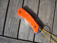 Bild 001 (Medium).jpg